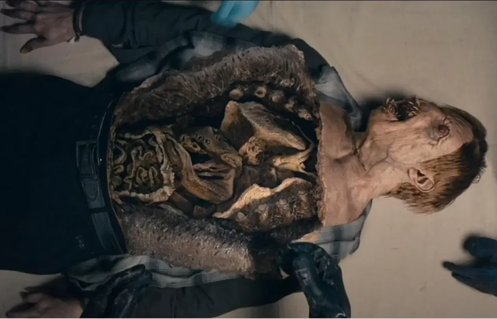 From season 1 and 2 Hindi Dubbing