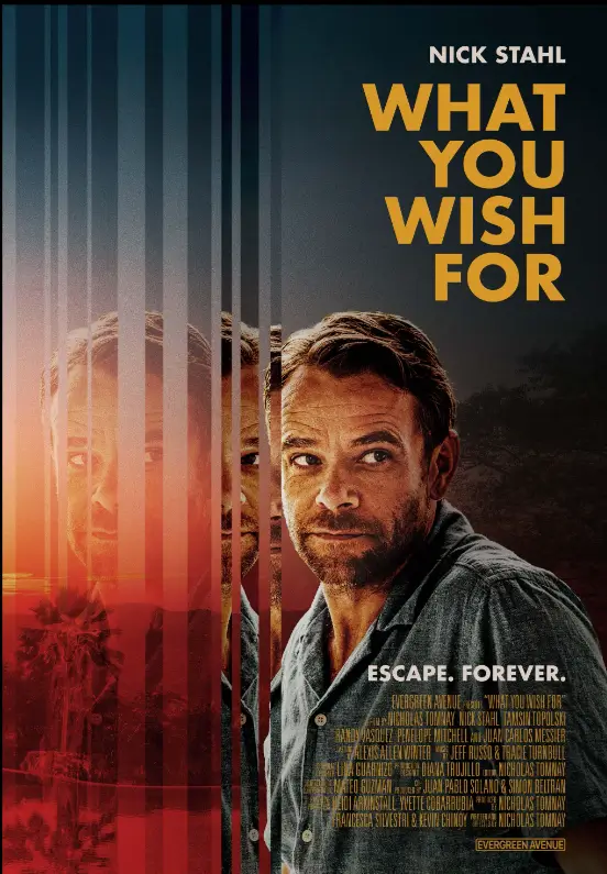 What You Wish For Hindi Review