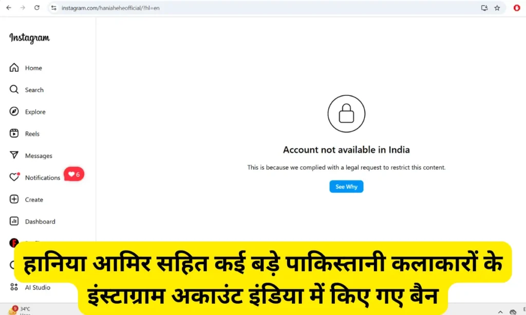 हानिया आमिर सहित कई बड़े पाकिस्तानी कलाकारों के इंस्टाग्राम अकाउंट इंडिया में किए गए बैन 1 hania aamir instagram banned in india