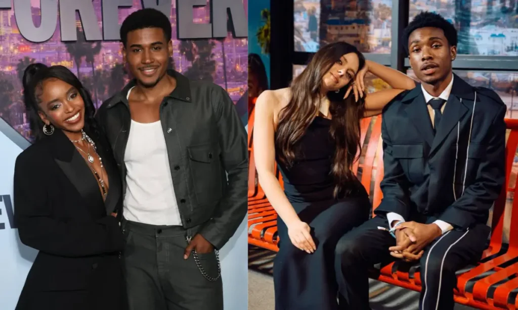 फ्रेंच सीरीज हिंदी में