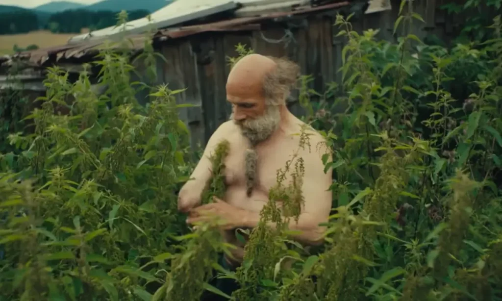 Better Go Mad In The Wild Hindi Review