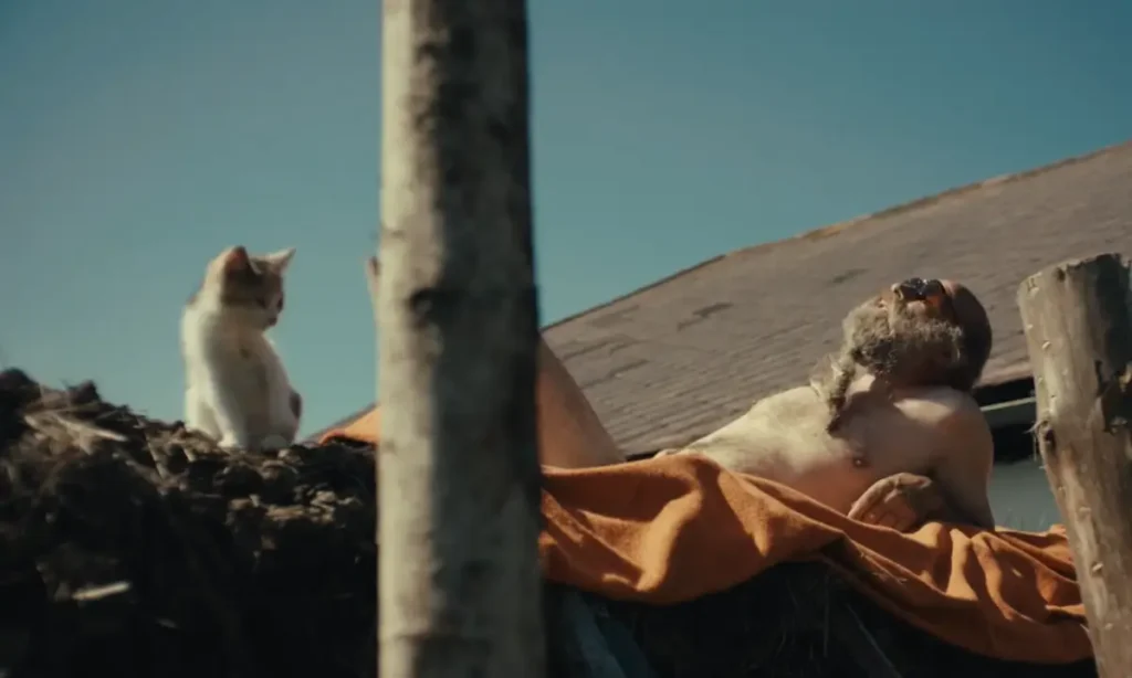 Better Go Mad In The Wild Hindi Review