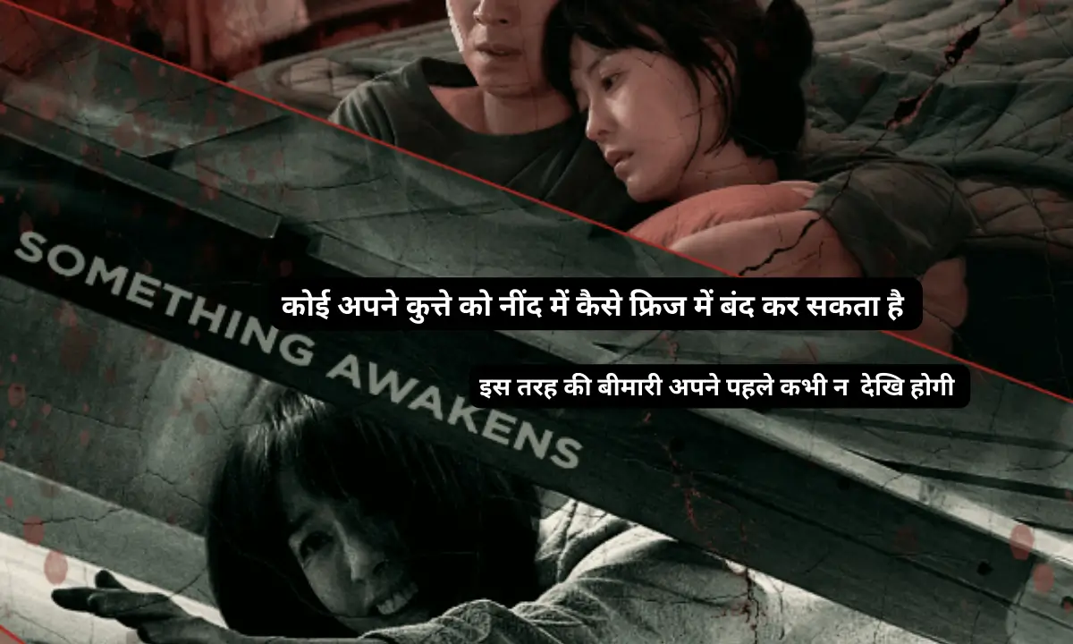 Sleep Korean Review hindi