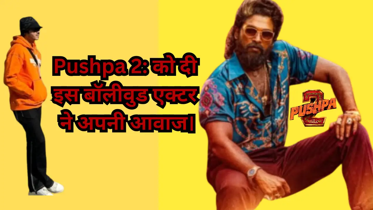 Pushpa 2 The Rule Hindi dubbing artist