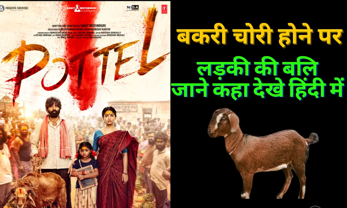 Potel now on Amazon Prime in Hindi