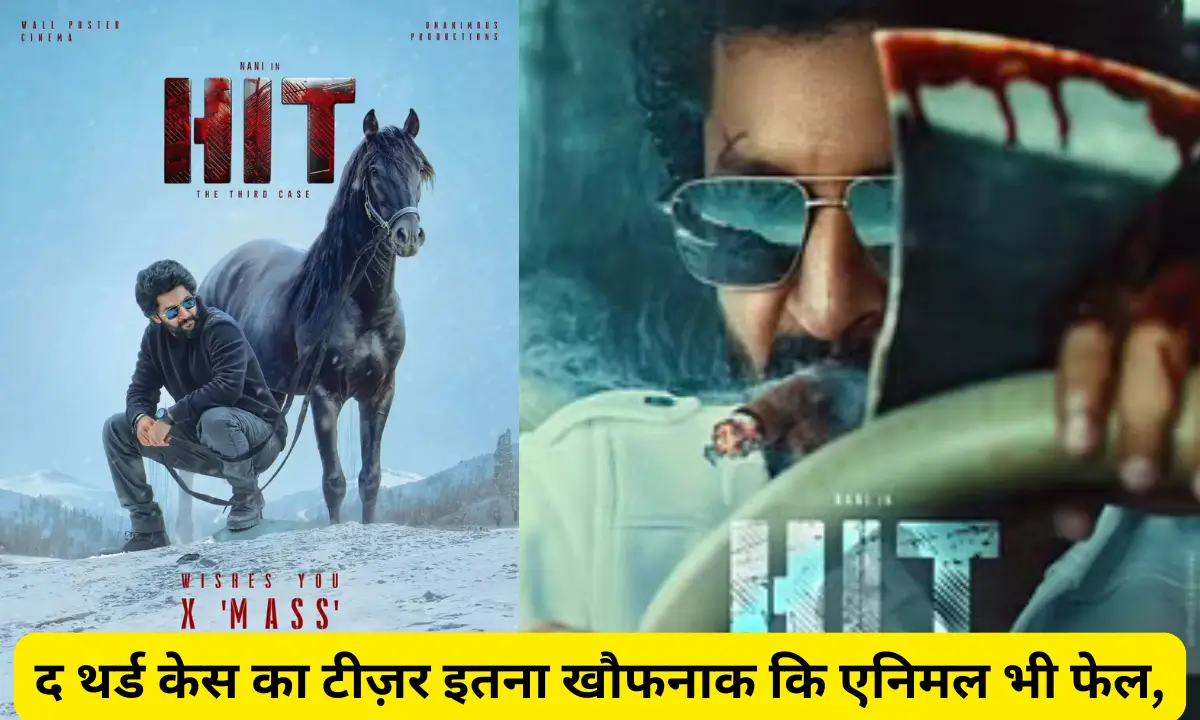 HIT 3 Teaser Review in Hindi