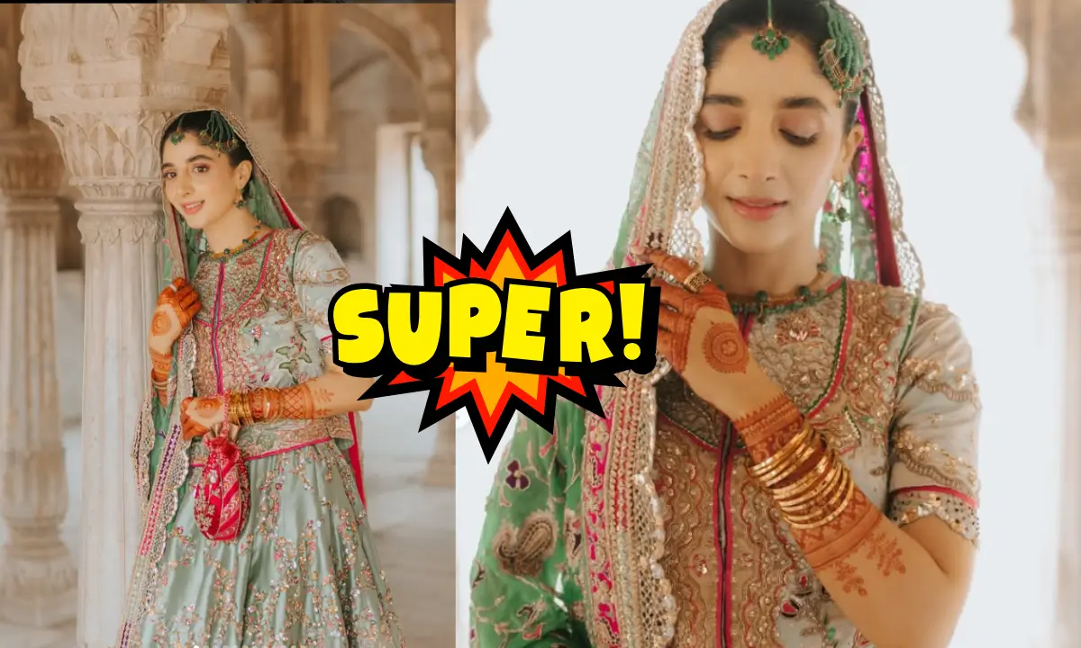 Mawra Hocane movies Tv Shows And Family