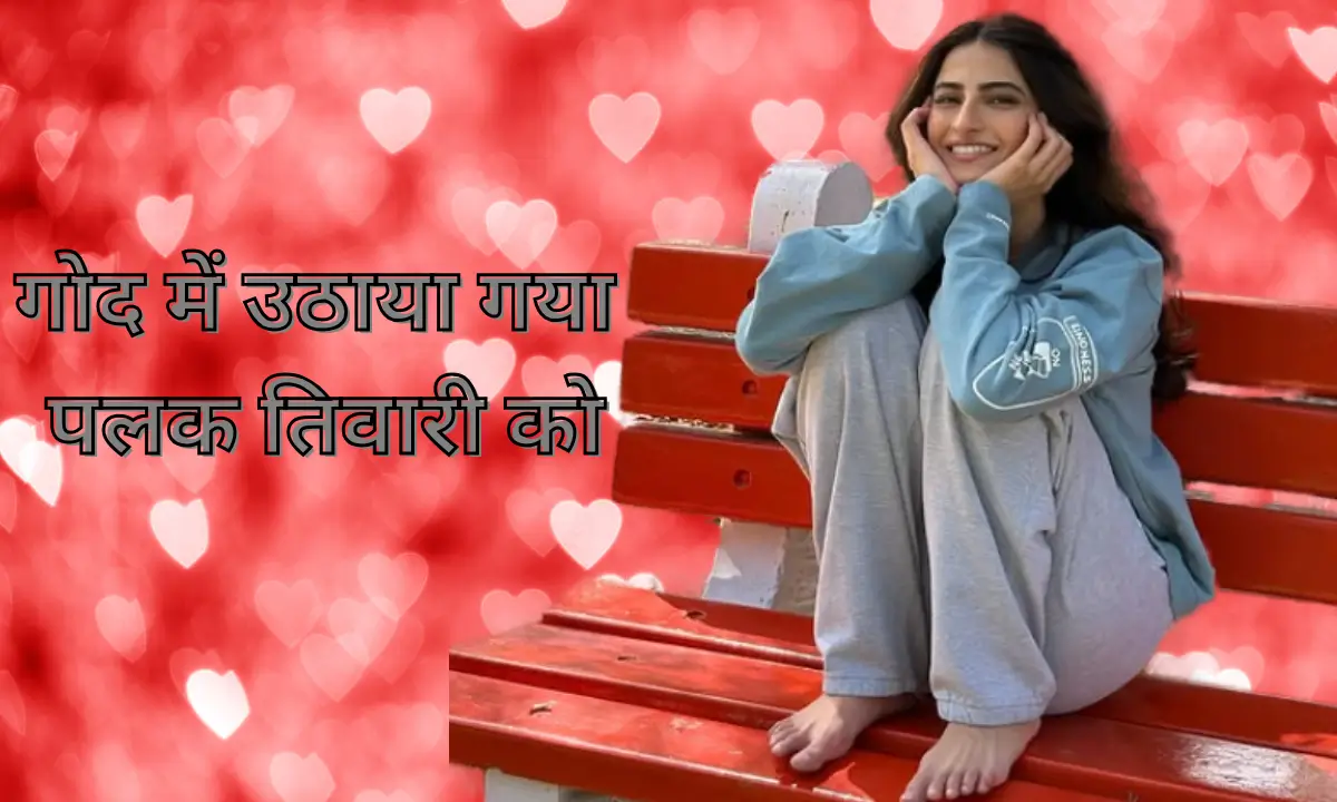 Palak Tiwari Video Viral गोद में उठाया गया पलक तिवारी को।