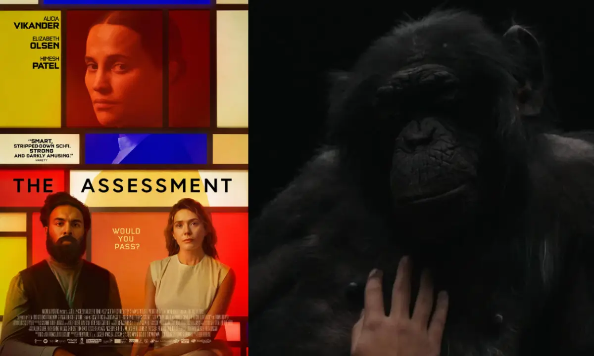 The Assesment Review