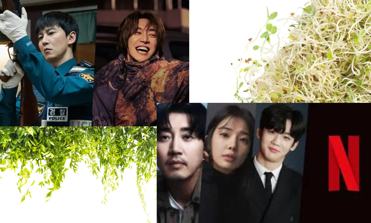 This Friday Releasing K Drama