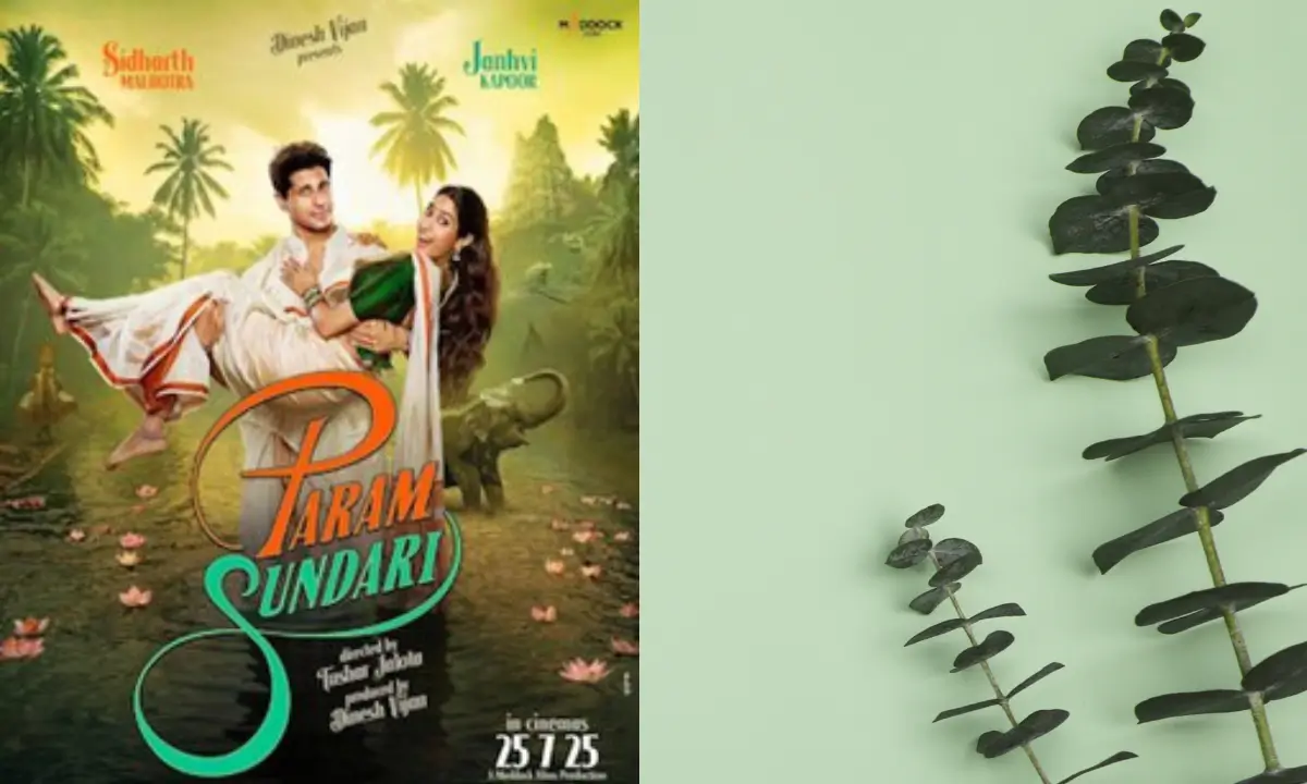 "परम सुंदरी" के एक्टर सिद्धार्थ मल्होत्रा और जाह्नवी कपूर की फीस और रिलीज डेट के बारे में जानें